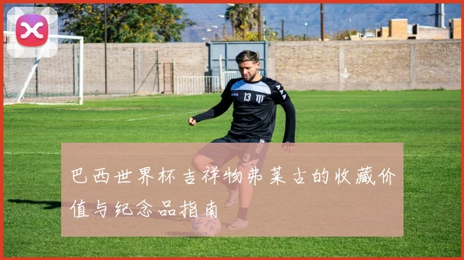 巴西世界杯吉祥物弗莱古的收藏价值与纪念品指南